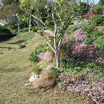 Mirador Do Xubino Rial