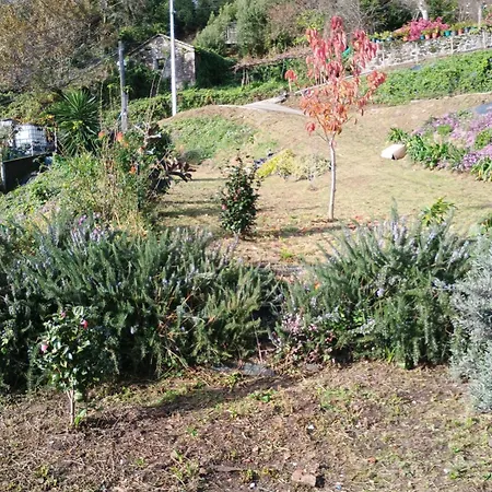 Mirador Do Xubino * Rial