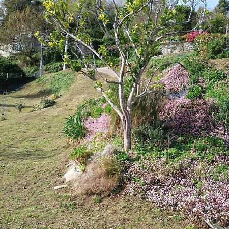 Mirador Do Xubino 里亚尔