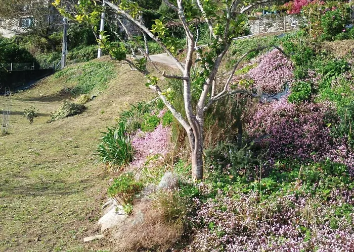 Mirador Do Xubino Rial